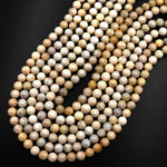 Natural Fossil Coral Round Beads 8mm 9mm Light Beige 15.5" Strand