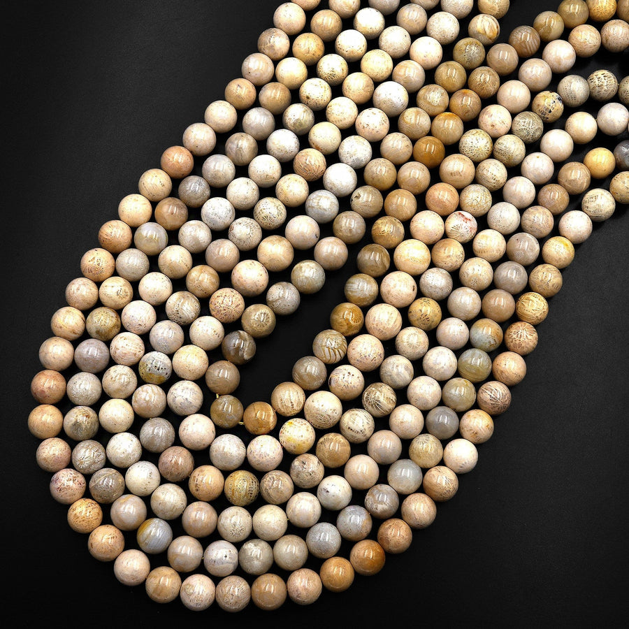 Natural Fossil Coral Round Beads 8mm 9mm Light Beige 15.5" Strand