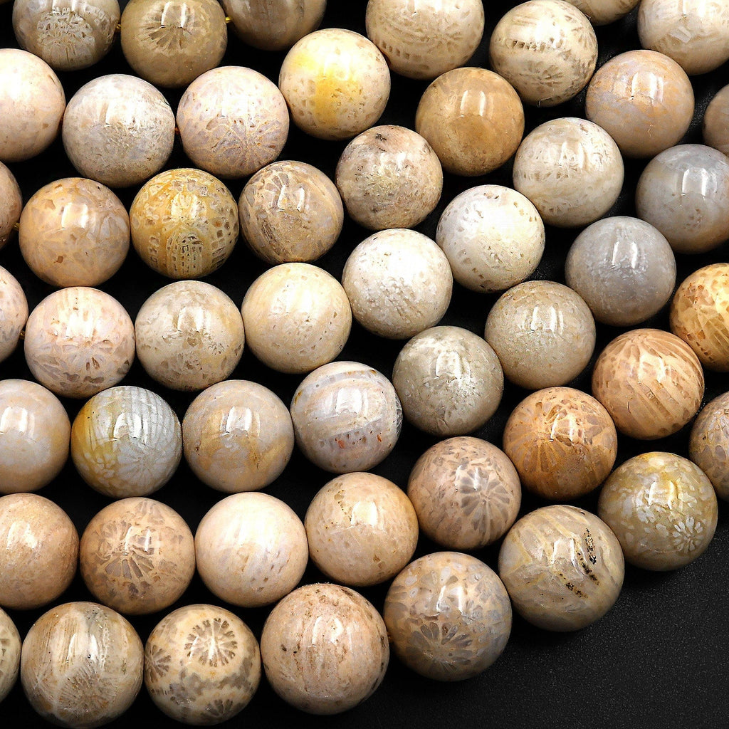 Natural Fossil Coral Round Beads 8mm 9mm Light Beige 15.5" Strand