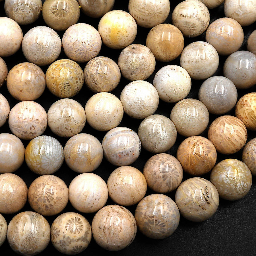 Natural Fossil Coral Round Beads 8mm 9mm Light Beige 15.5" Strand