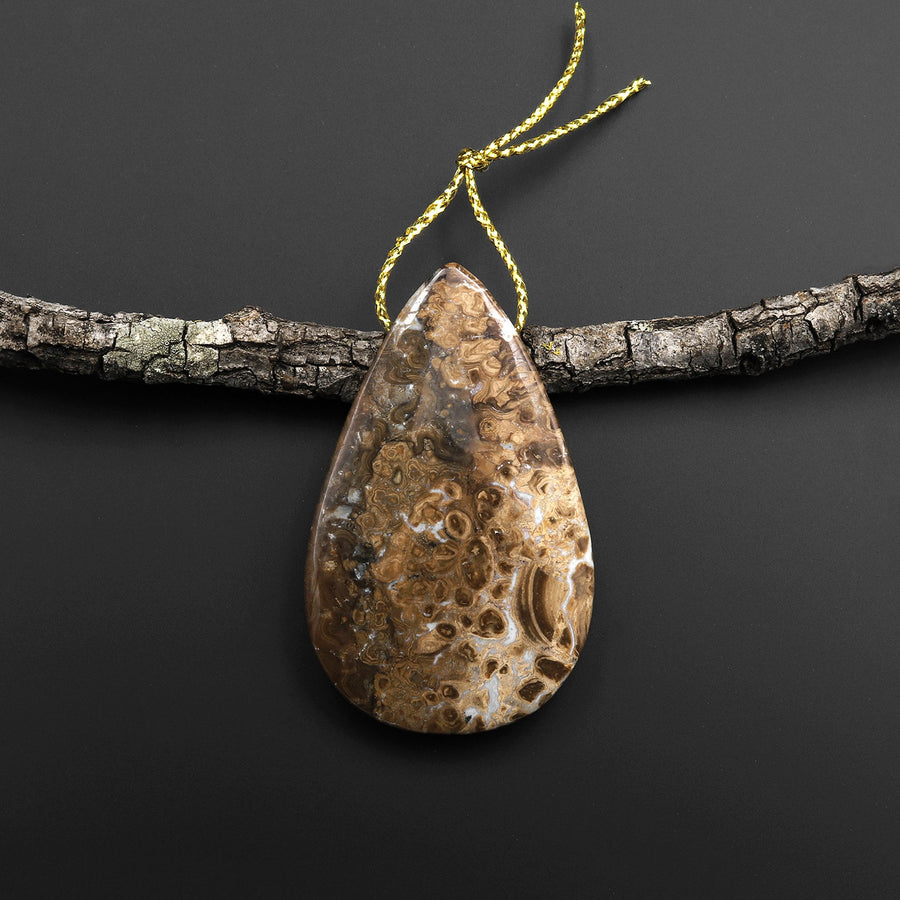 Rare Genuine Natural Fossilized Algae Pendant Top Side Drilled Teardrop Gemstone