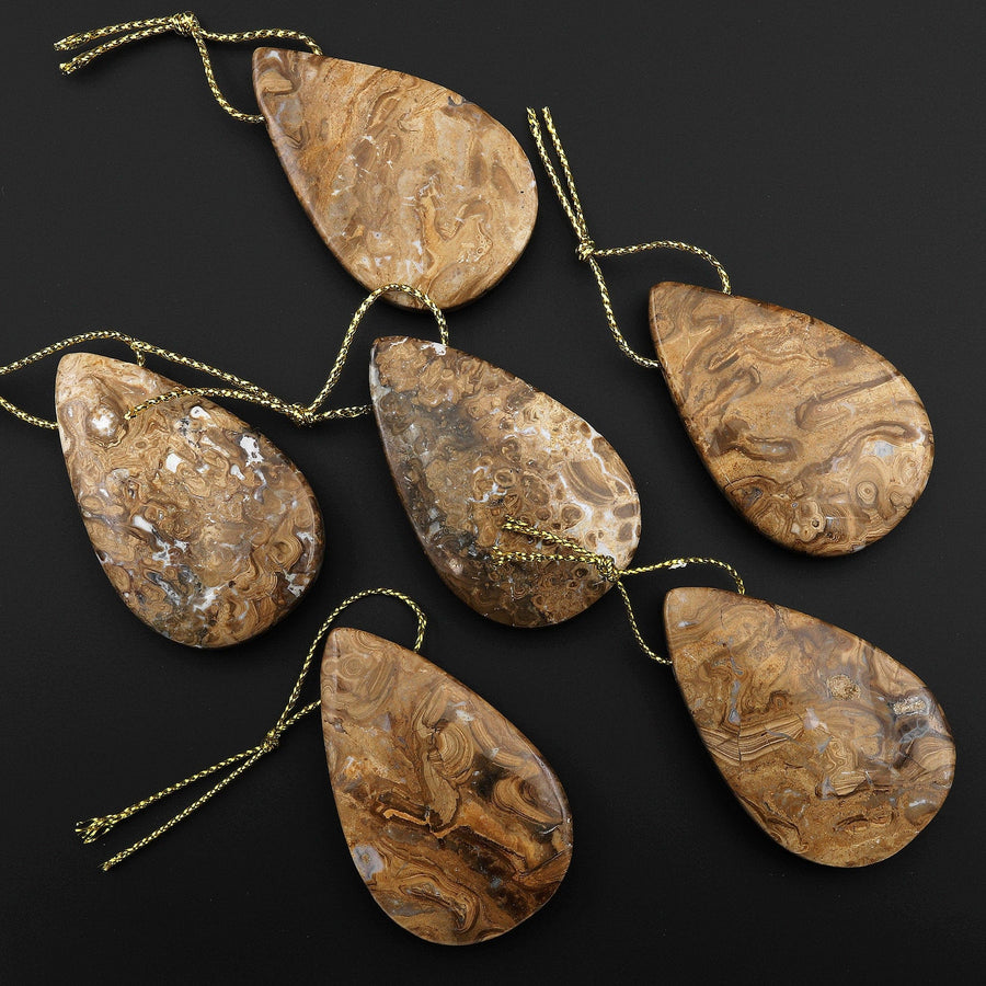 Rare Genuine Natural Fossilized Algae Pendant Top Side Drilled Teardrop Gemstone