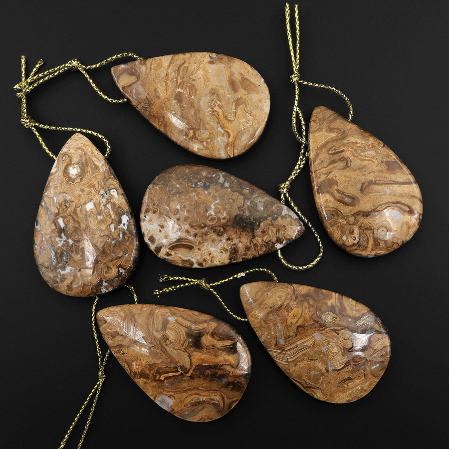 Rare Genuine Natural Fossilized Algae Pendant Top Side Drilled Teardrop Gemstone