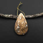 Rare Genuine Natural Fossilized Algae Pendant Top Side Drilled Teardrop Gemstone