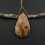 Rare Genuine Natural Fossilized Algae Pendant Top Side Drilled Teardrop Gemstone