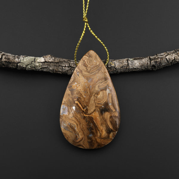 Rare Genuine Natural Fossilized Algae Pendant Top Side Drilled Teardrop Gemstone