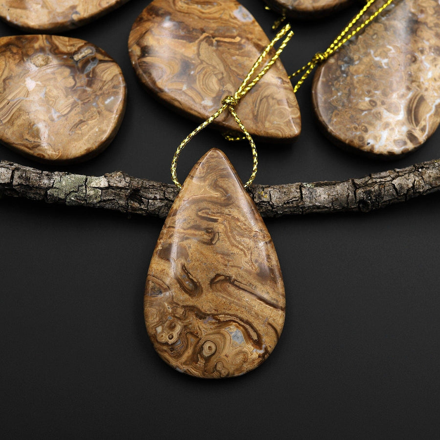 Rare Genuine Natural Fossilized Algae Pendant Top Side Drilled Teardrop Gemstone