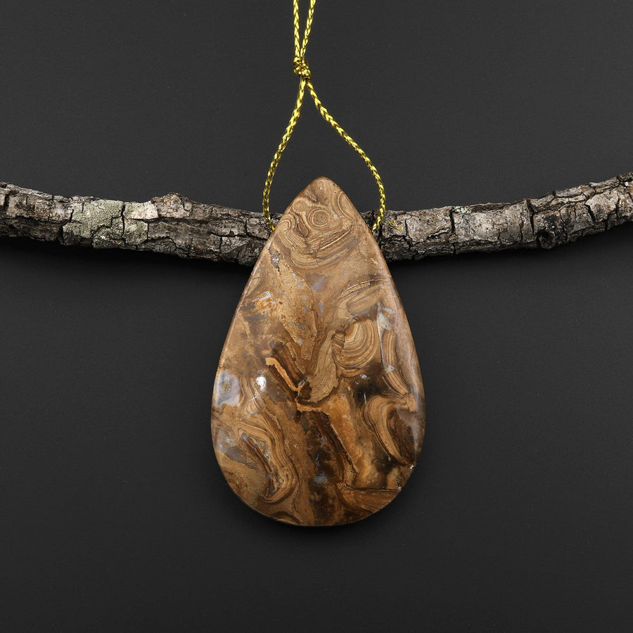 Rare Genuine Natural Fossilized Algae Pendant Top Side Drilled Teardrop Gemstone A4