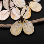 Natural Yellow Galaxy Jasper Earring Pair Teardrop Cabochon Pair Drilled Matched Gemstone Beads