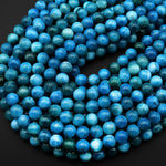 AAA Natural Vibrant Teal Blue Apatite 6mm 8mm 10mm Round Beads 15.5" Strand