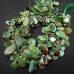 Large Graduated Natural Australian Bicolor Green Brown Chrysoprase Beads Freeform Teardrop Focal Pendant Side Drilled Gemstone 15.5" Strand
