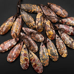 Natural Leopard Skin Orbicular Jasper Earring Pair Gemstone Drilled Matched Teardrop Beads