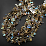 AAA Rough Raw Natural Labradorite Beads Freeform Side Drilled Slice Beads Matte Organic Cut 15.5" Strand