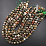 Faceted Natural African Bloodstone 12mm Round Beads 15.5" Strand