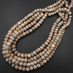 Genuine Fossilized Stegodon Stone Beads Graduated Earthy Gray Beige Slate Brown 24" Strand