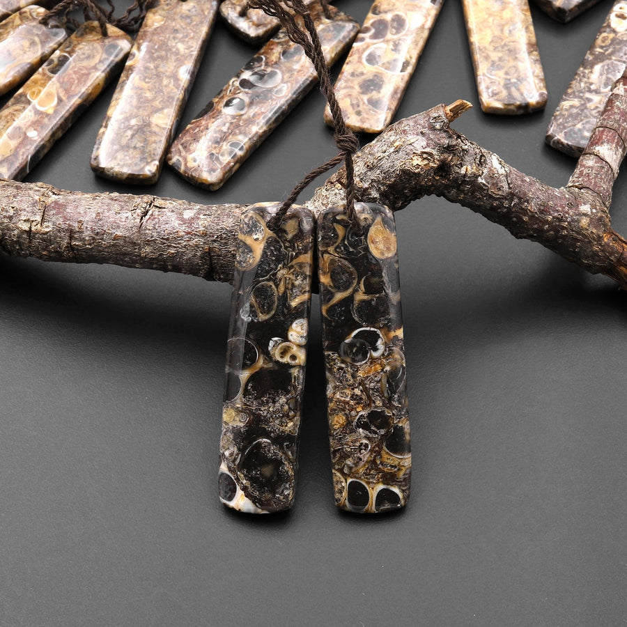 Natural Turritella Fossil Earring Pair From Wyoming Pair Drilled Long Rectangle Matched Gemstone Bead