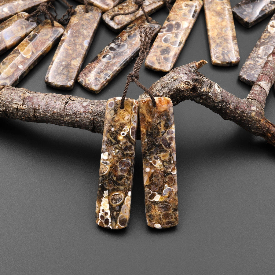Natural Turritella Fossil Earring Pair From Wyoming Pair Drilled Long Rectangle Matched Gemstone Bead A1