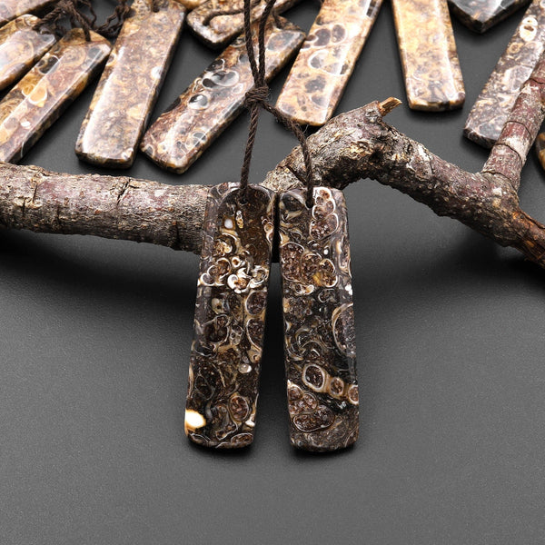 Natural Turritella Fossil Earring Pair From Wyoming Pair Drilled Long Rectangle Matched Gemstone Bead