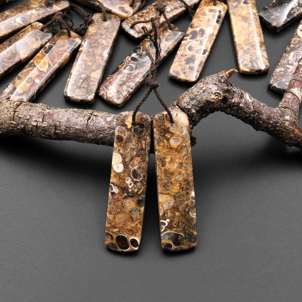 Natural Turritella Fossil Earring Pair From Wyoming Pair Drilled Long Rectangle Matched Gemstone Bead A3