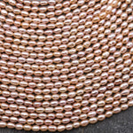 AAA Genuine Freshwater Small Pink Rice Seed Pearls 3mm Oval 15.5" Strand