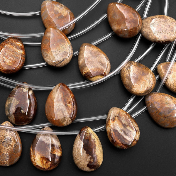 Natural Chocolate Brown Fossil Coral Beads Side Drilled Teardrop Gemstone 8" Strand
