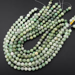 Natural Burma Jadeite Beads 10mm Round Real Genuine Green Gemstone 15.5" Strand