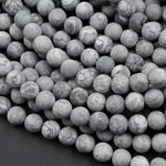 Matte Natural Gray Map Stone Jasper 4mm 6mm 8mm 10mm Smooth Round Beads 15.5" Strand